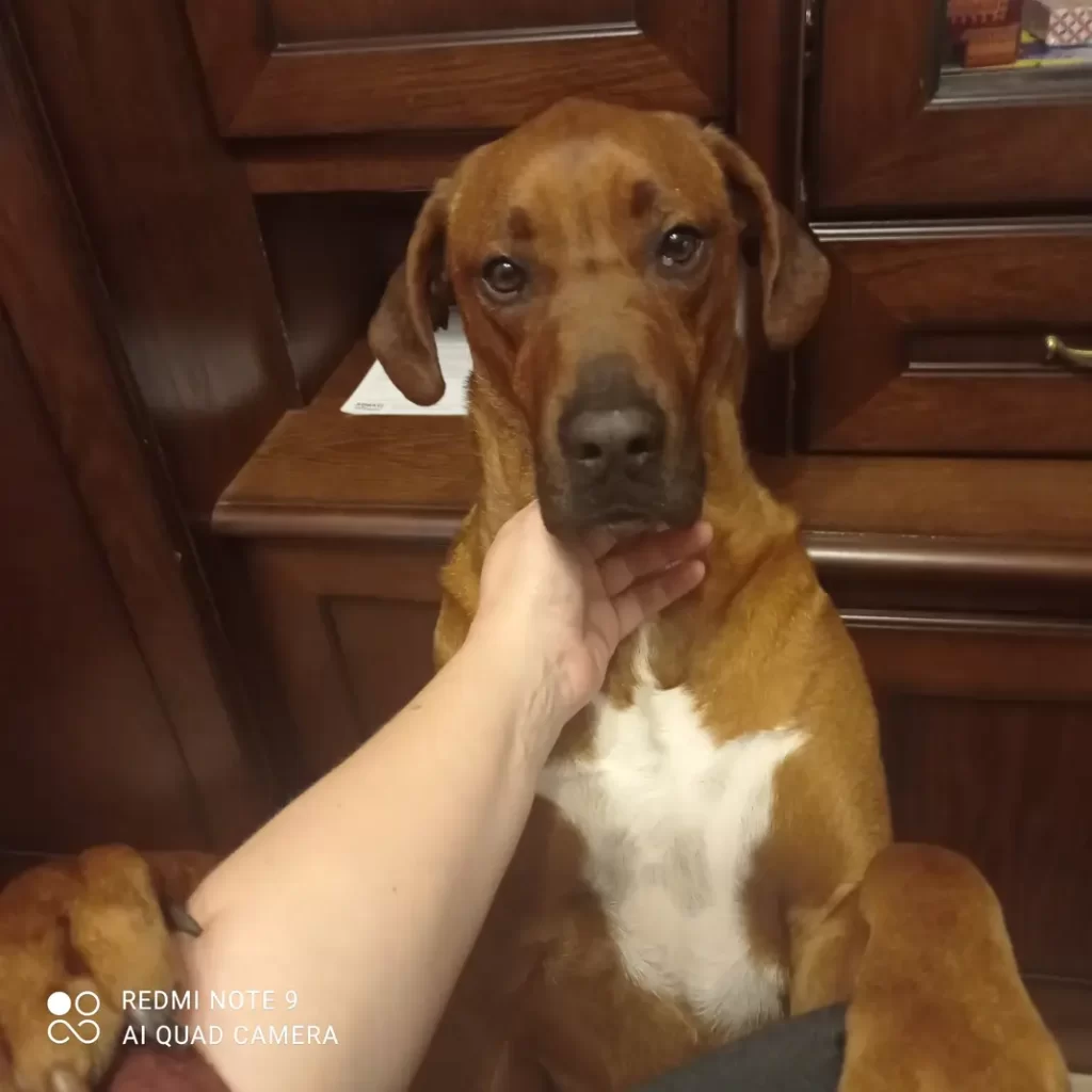 Img 11 1705001308019