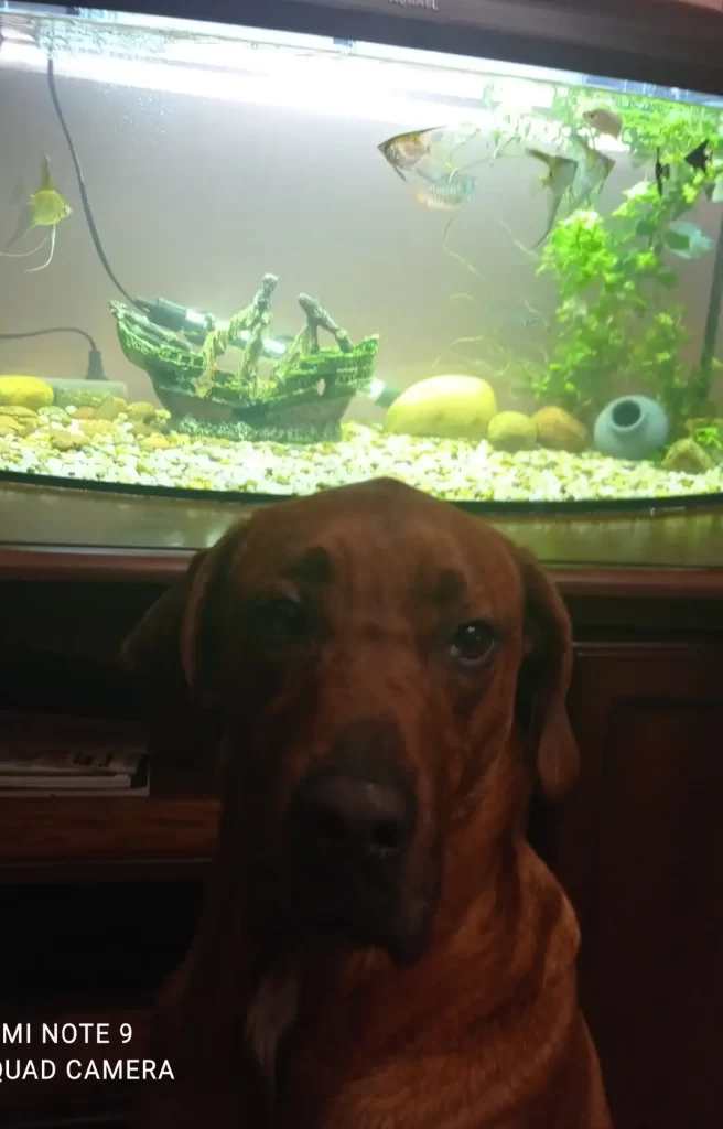 Img 14 1705001316155