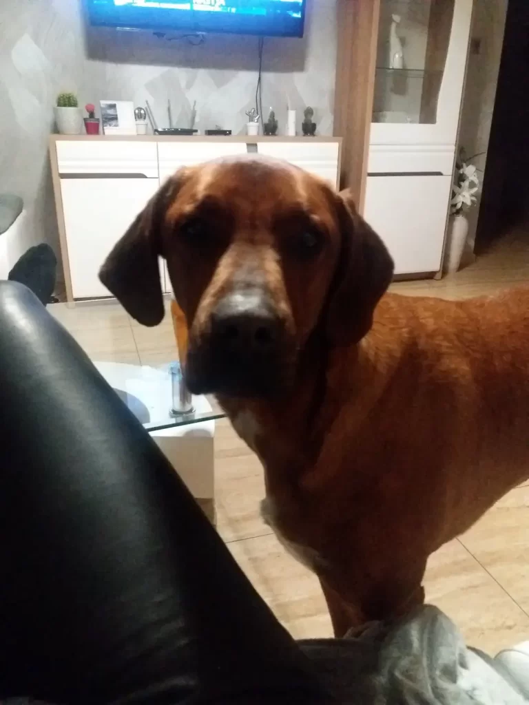 Img 19 1705001378393