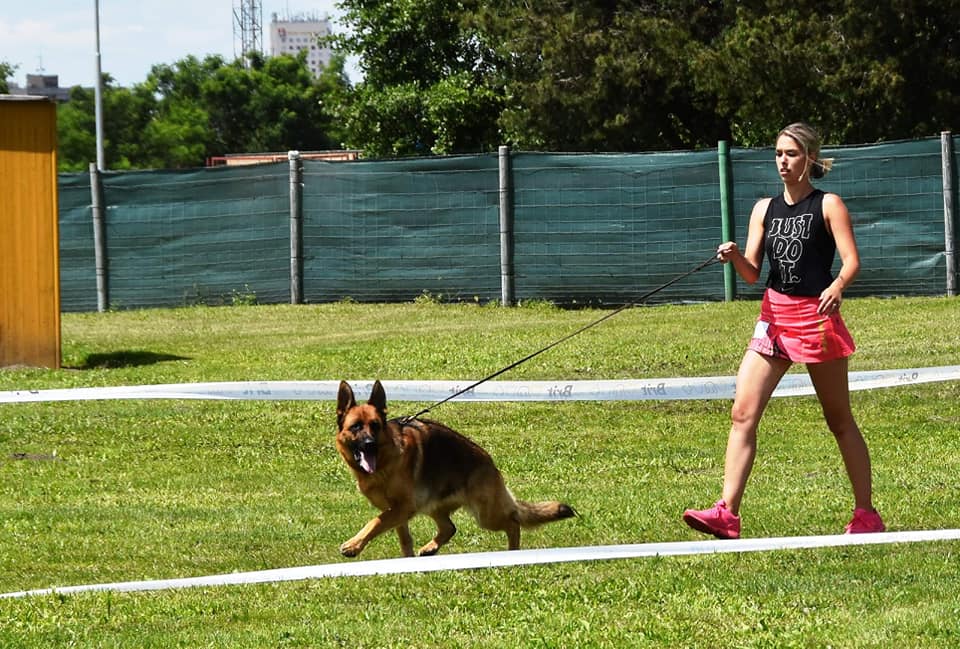 120840975 2711406145782914 8023838579547925888 n