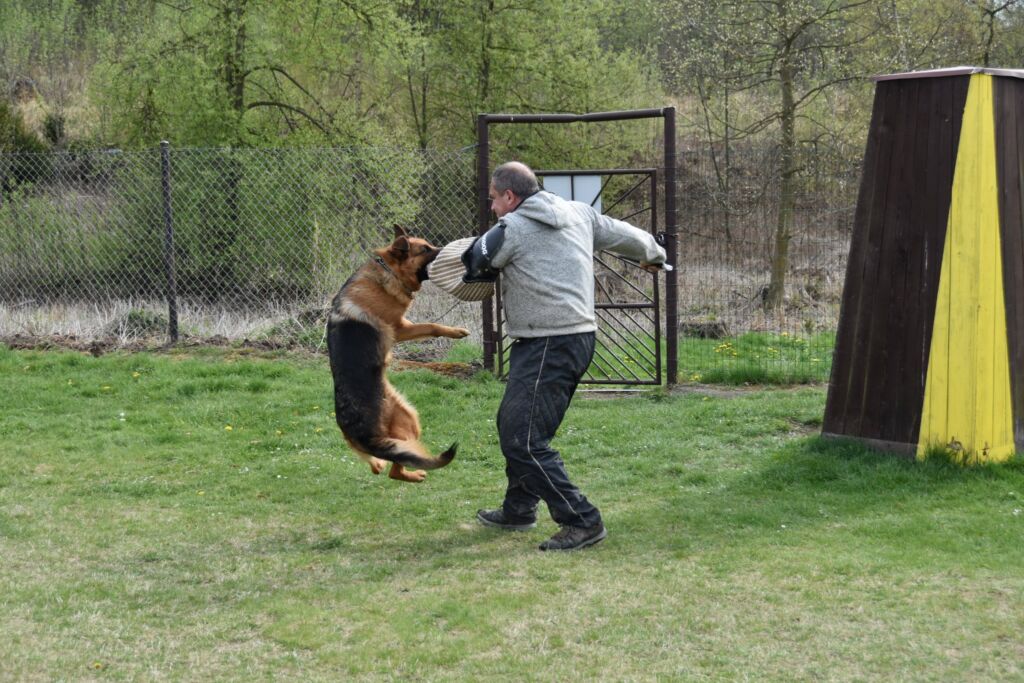 279629936 5489762704367466 7184105644245210219 n