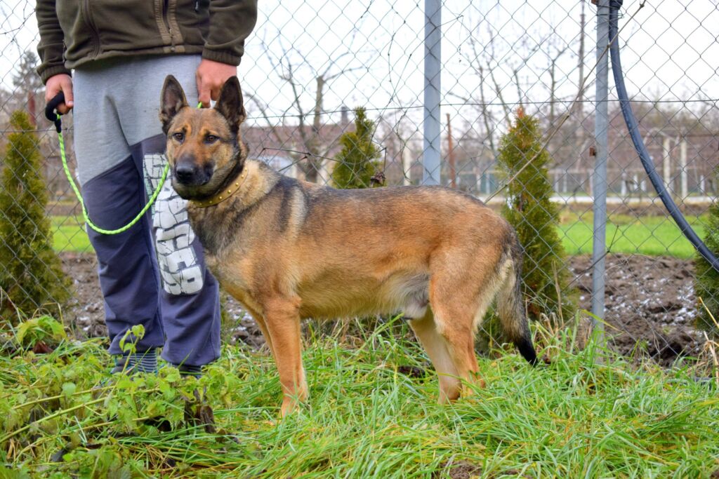 484528218 1069535781878241 295815970319498919 n