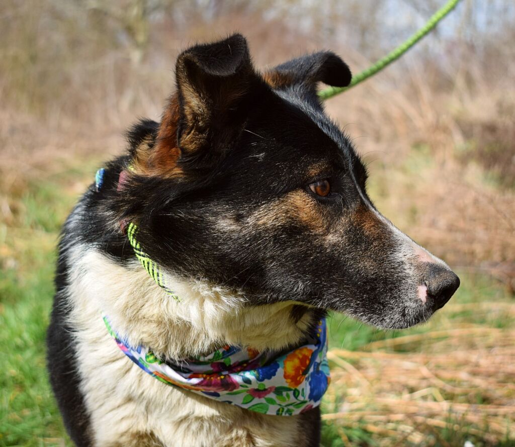 484653488 1070852885079864 7438181217797821334 n