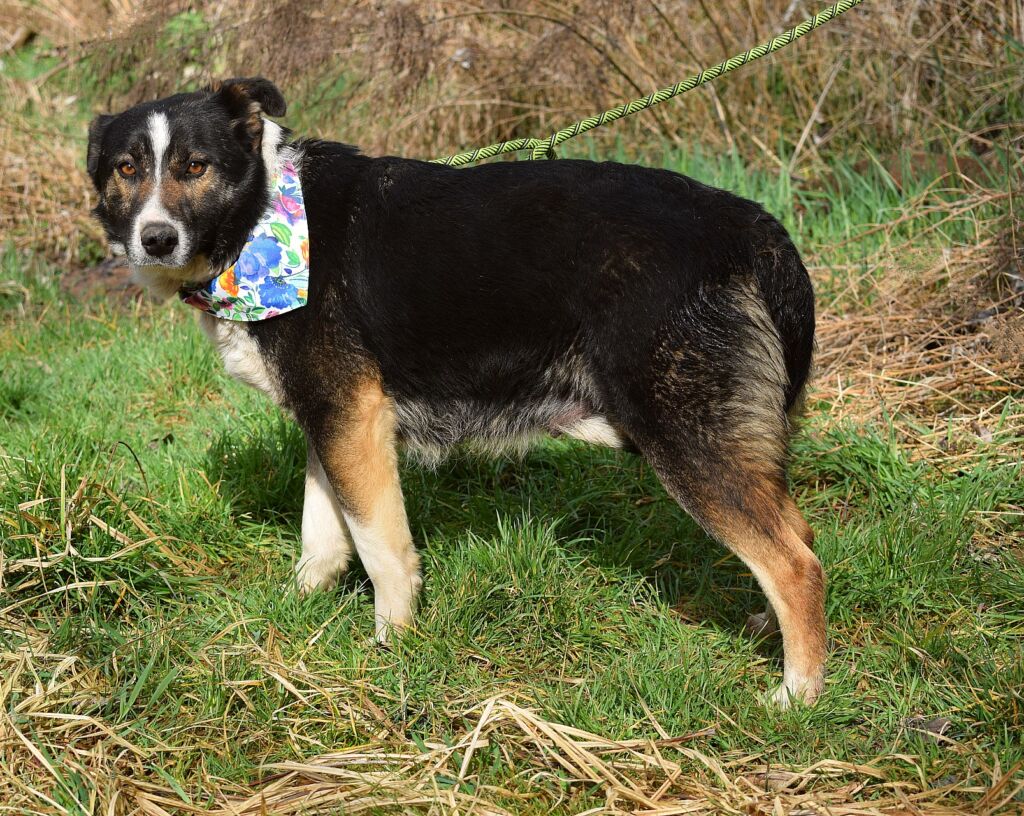 484968752 1070852675079885 4887967064681901885 n