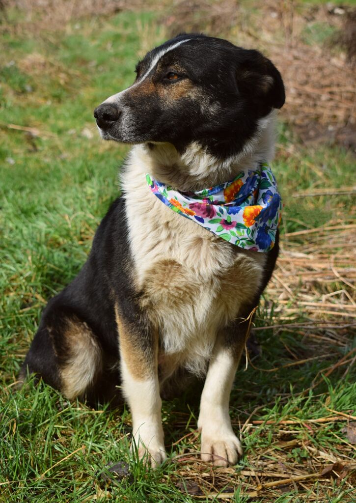 485042093 1070852768413209 2999098562286652985 n