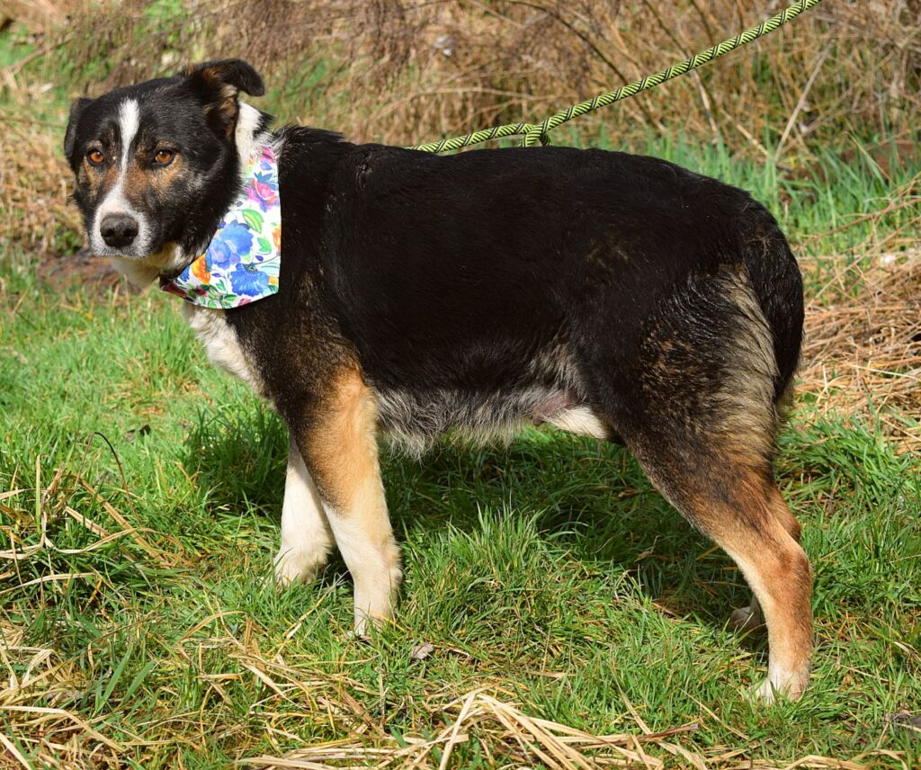 485135463 1070852661746553 4464115595595347875 n