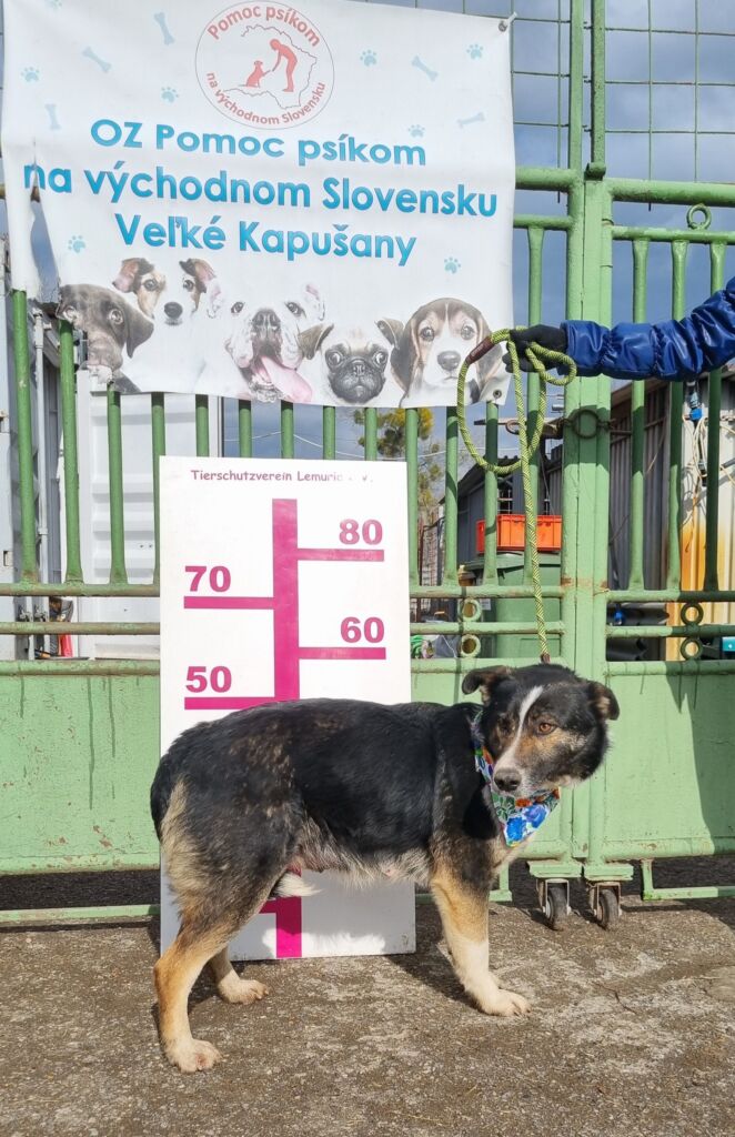 485185224 1070857118412774 1814564882339253552 n