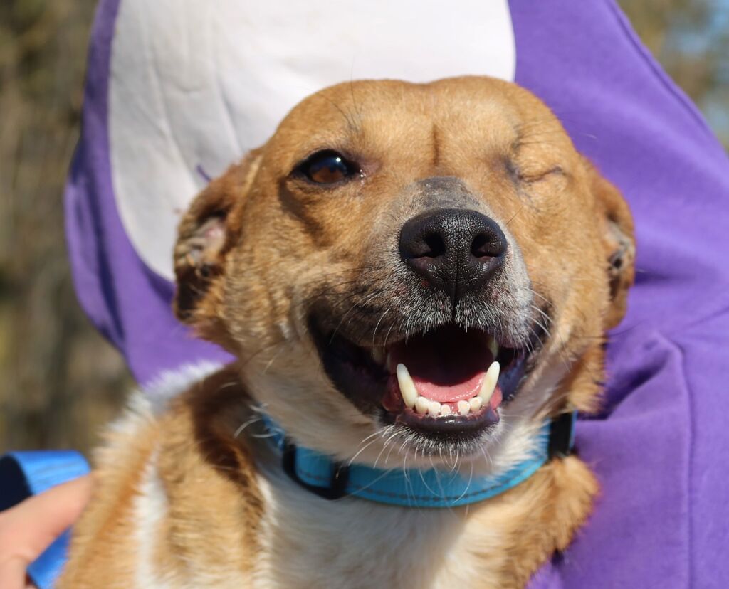 485411600 1072851328213353 8185785458925582470 n