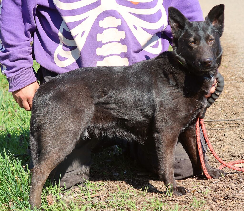 486053669 1073904504774702 7948372347115572643 n