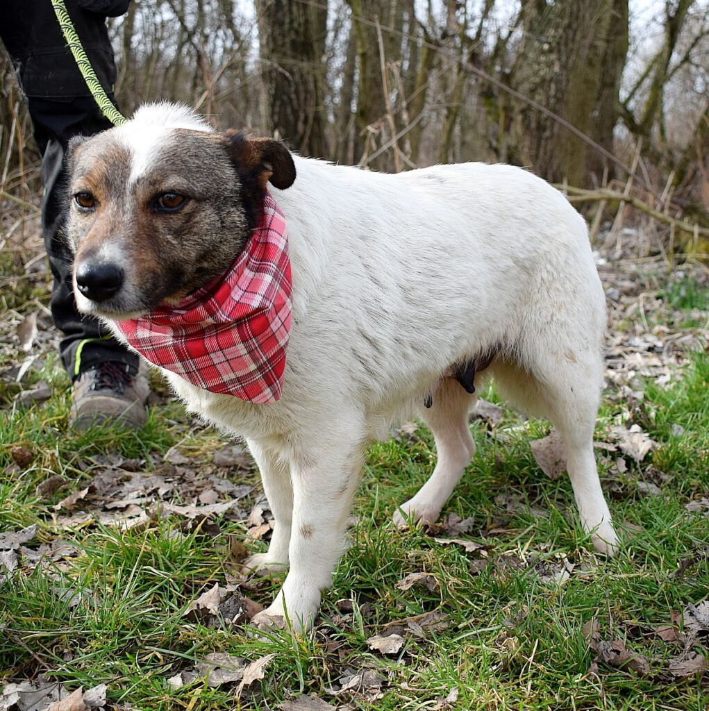 489560233 1089005509931268 5535721804611121006 n