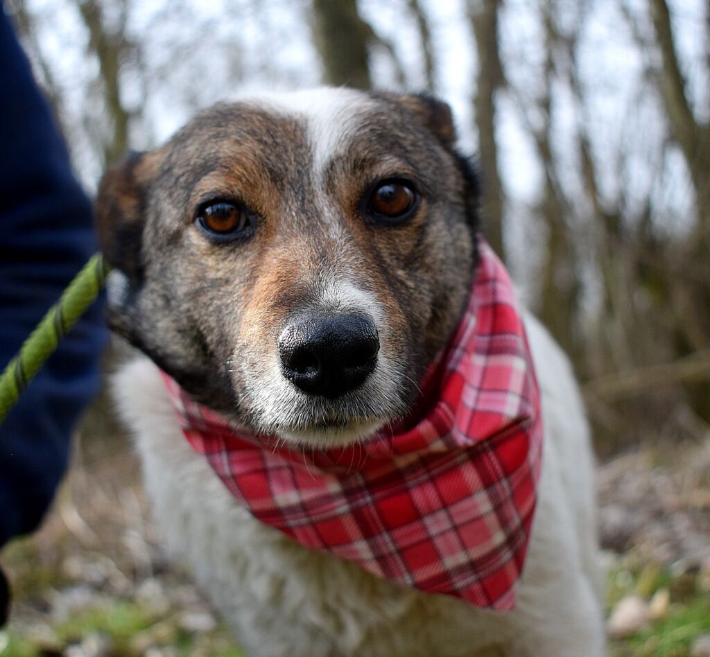 489821872 1089006539931165 1532814358347064196 n