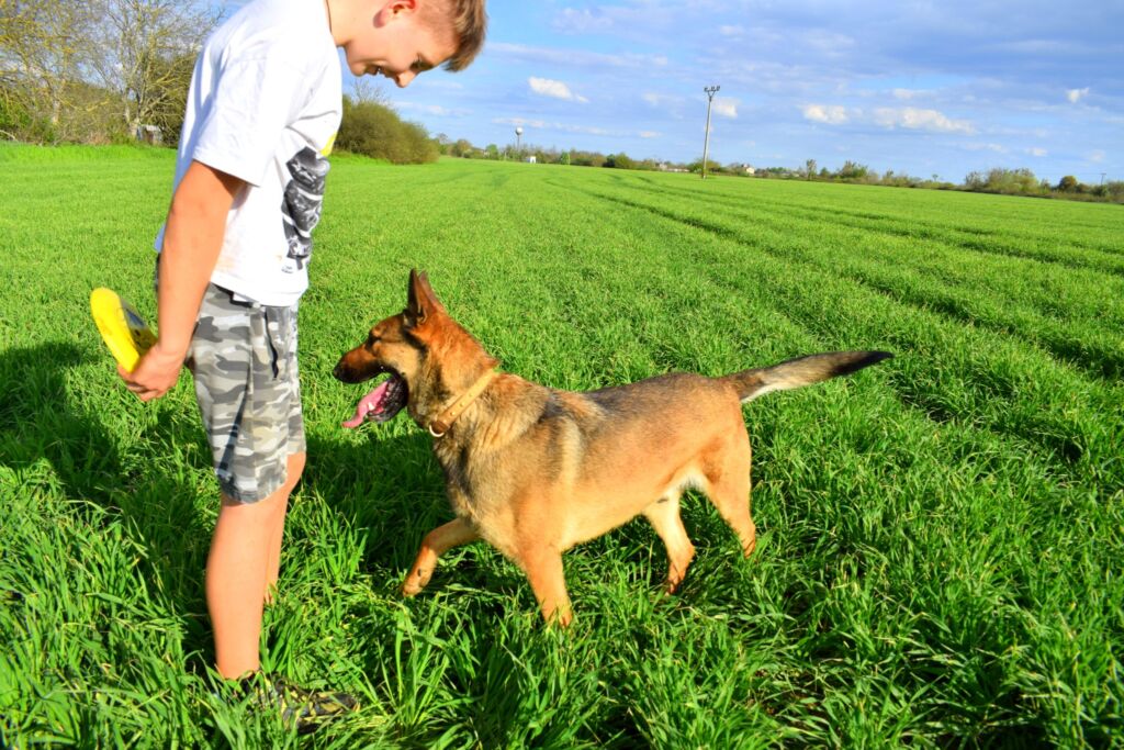 489927950 1096376109194208 2124534249502173668 n