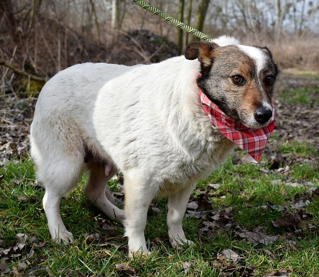 489959753 1089006643264488 598512727589441218 n