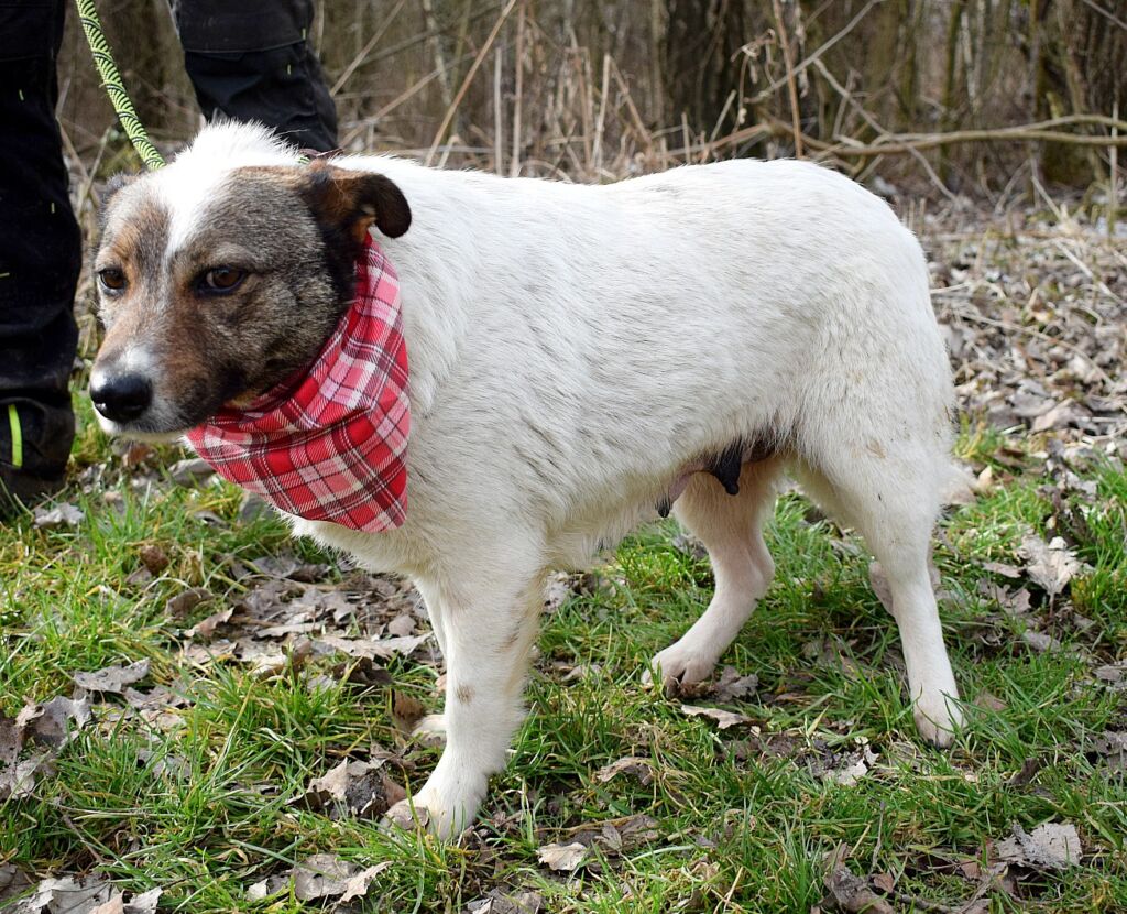 490313291 1089008526597633 2295874831125776934 n