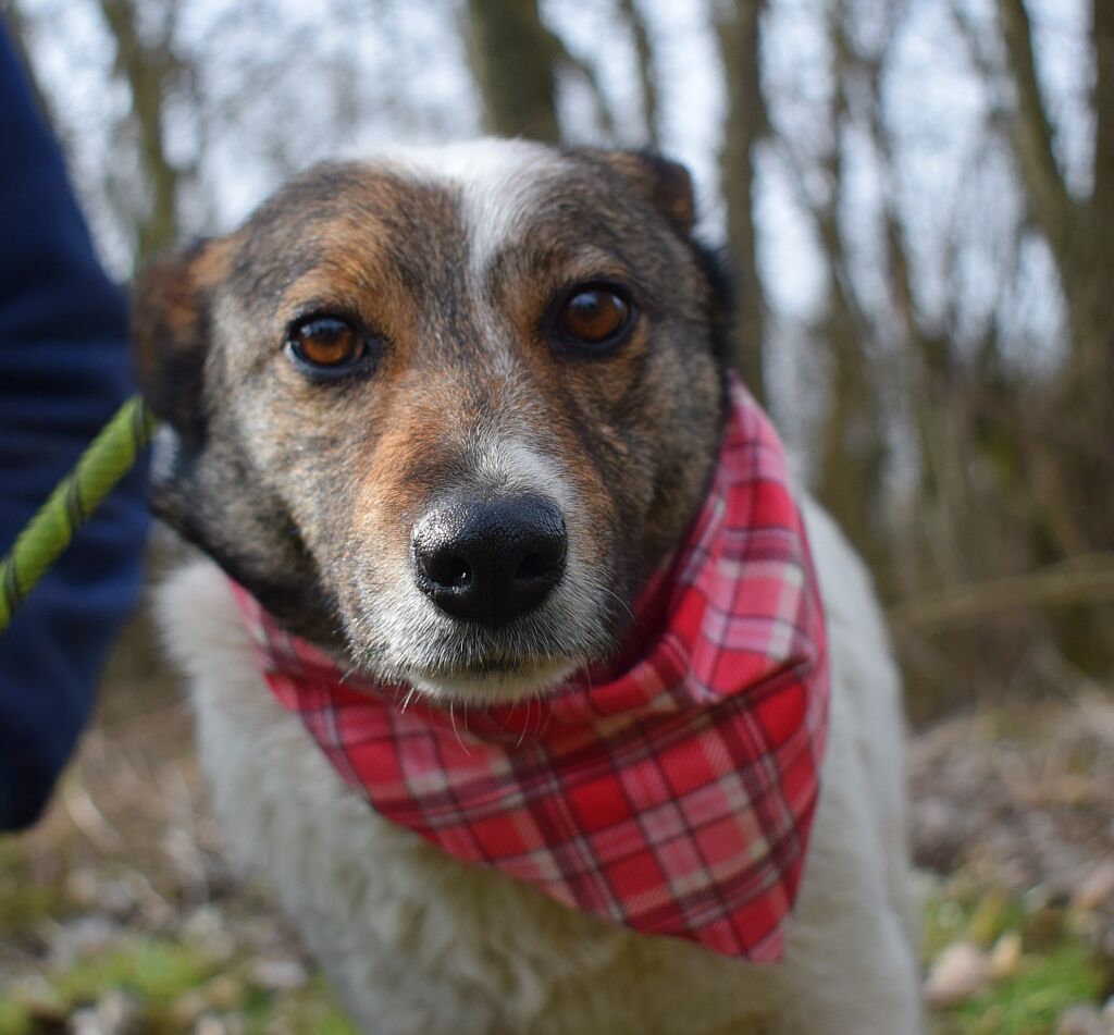 490345692 1089006596597826 6962492342017734607 n