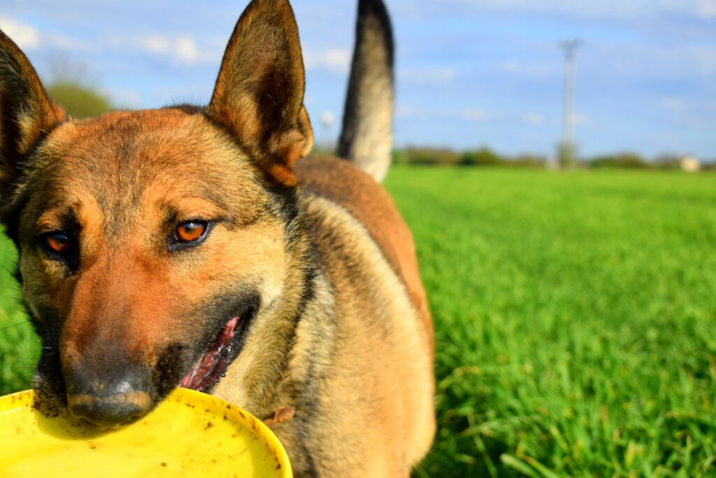 492876191 1096377255860760 2643157760101798272 n