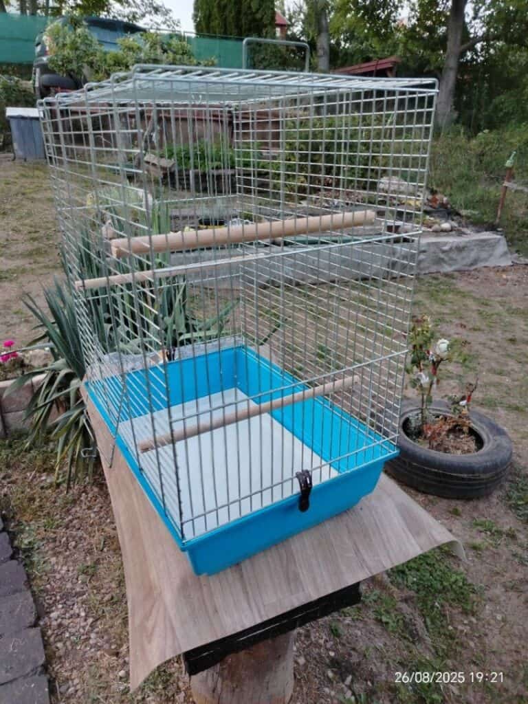 Klec na ptactvo s odnímatelnou budkou a plastovým dnem, vhodná pro chov ptáků na zahradě nebo v domá.