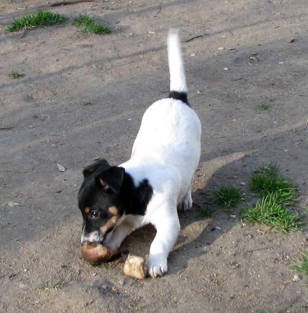 Bazar, nabídka, prodej, nabízím, prodám.