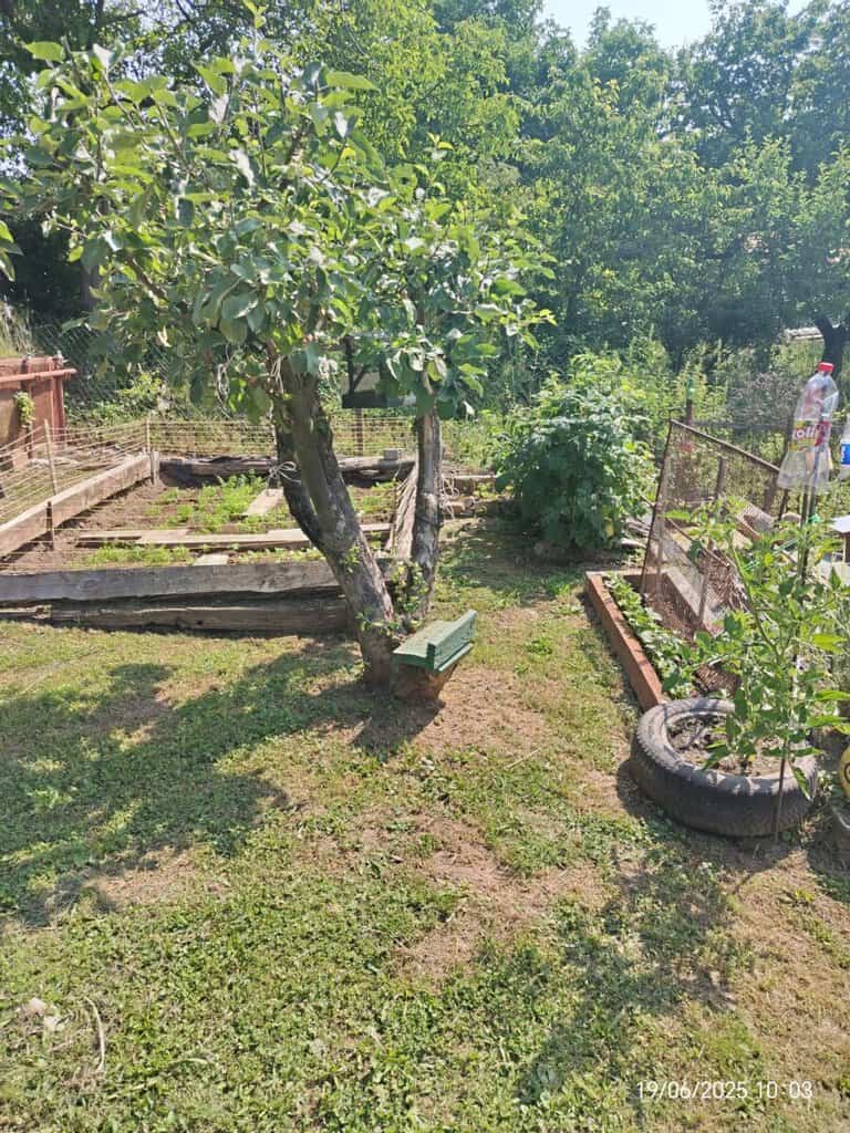 Bazar, nabídka, prodej, nabízím, prodám zahradní vybavení a strom.