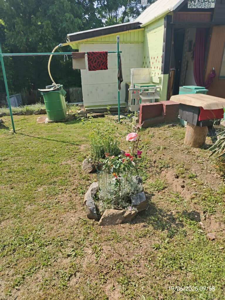 Bazar, nabídka, prodej, nabízím, prodám zahradní dekoraci a květiny.