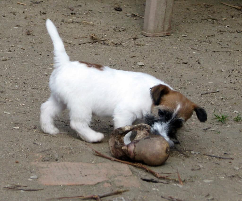 Bazar, nabídka, prodej, nabízím, prodám.