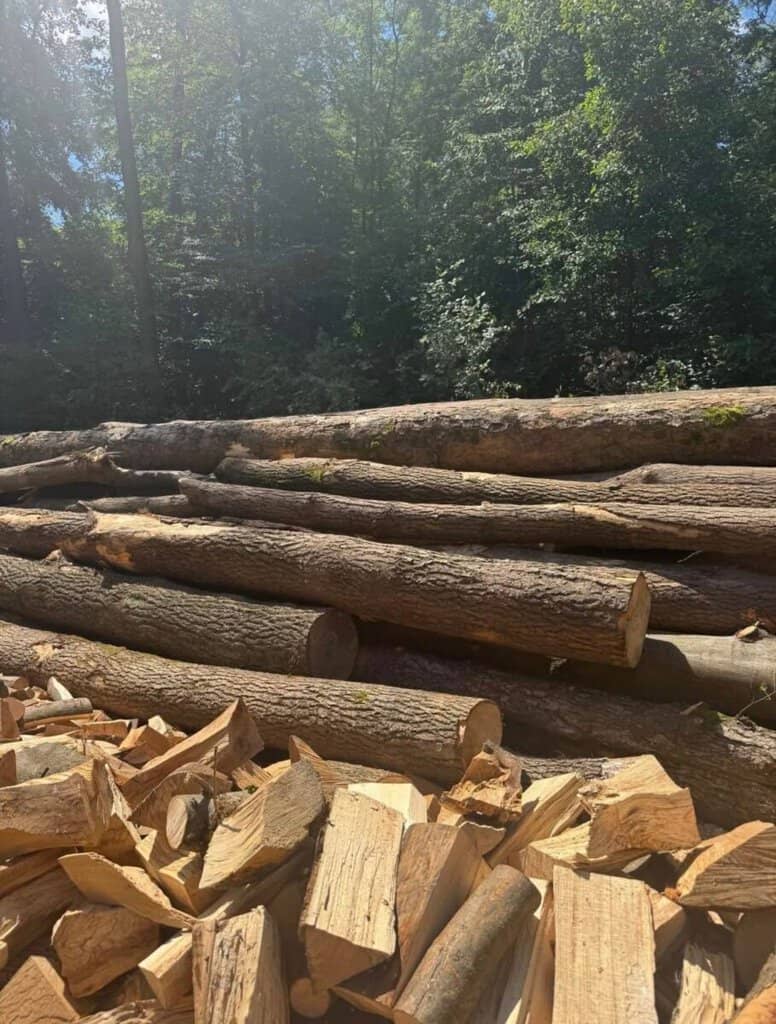 Bazar, nabídka, prodej, nabízím, prodám dřevo na topení nebo stavbu.