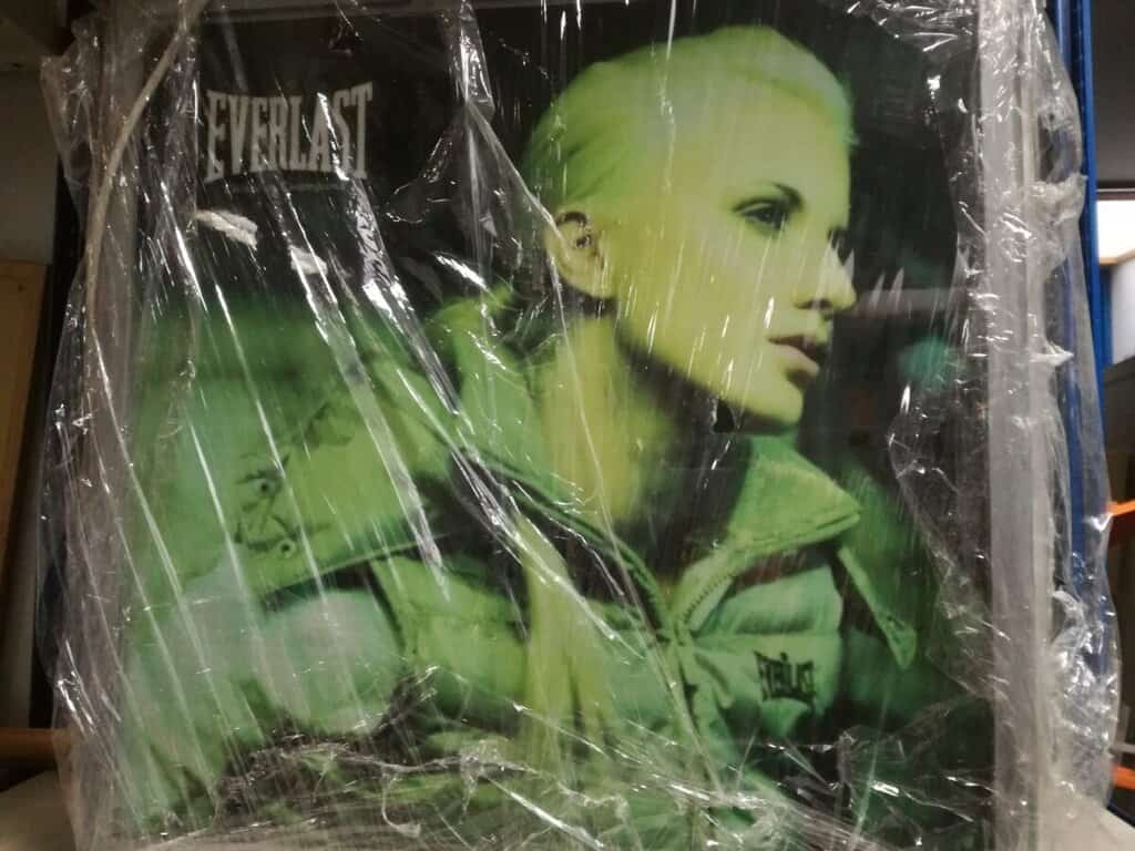 Bazar, nabídka, prodej, nabízím, prodám sportovní tašku s motivem ženy a logem Everlast.